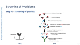 Screening of hybridoma
Step 4: - Screening of product
ELISA RIA
ManipalCollegeofPharmaceuticalSciences(MCOPS)
14
 