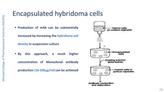 Encapsulated hybridoma cells
 Production of mAb can be substantially
increased by increasing the hybridoma cell
density in suspension culture
 By this approach, a much higher
concentration of Monoclonal antibody
production (10-100g/ml) can be achieved
ManipalCollegeofPharmaceuticalSciences(MCOPS)
19
 