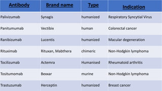 Antibody Brand name Type Indication
Palivizumab Synagis humanized Respiratory Syncytial Virus
Panitumumab Vectibix human Colorectal cancer
Ranibizumab Lucentis humanized Macular degeneration
Rituximab Rituxan, Mabthera chimeric Non-Hodgkin lymphoma
Tocilizumab Actemra Humanised Rheumatoid arthritis
Tositumomab Bexxar murine Non-Hodgkin lymphoma
Trastuzumab Herceptin humanized Breast cancer
 