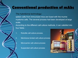 Mabs Process Monoclonal antibody | PPT