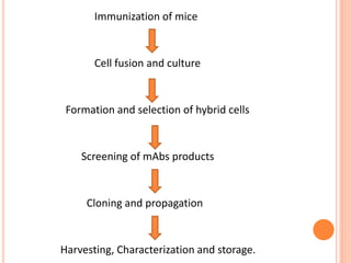 Immunization of mice
Cell fusion and culture
Formation and selection of hybrid cells
Screening of mAbs products
Cloning and propagation
Harvesting, Characterization and storage.
 