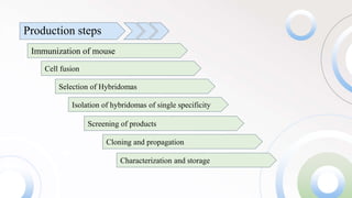 monoclonal antibody : production & application.pptx