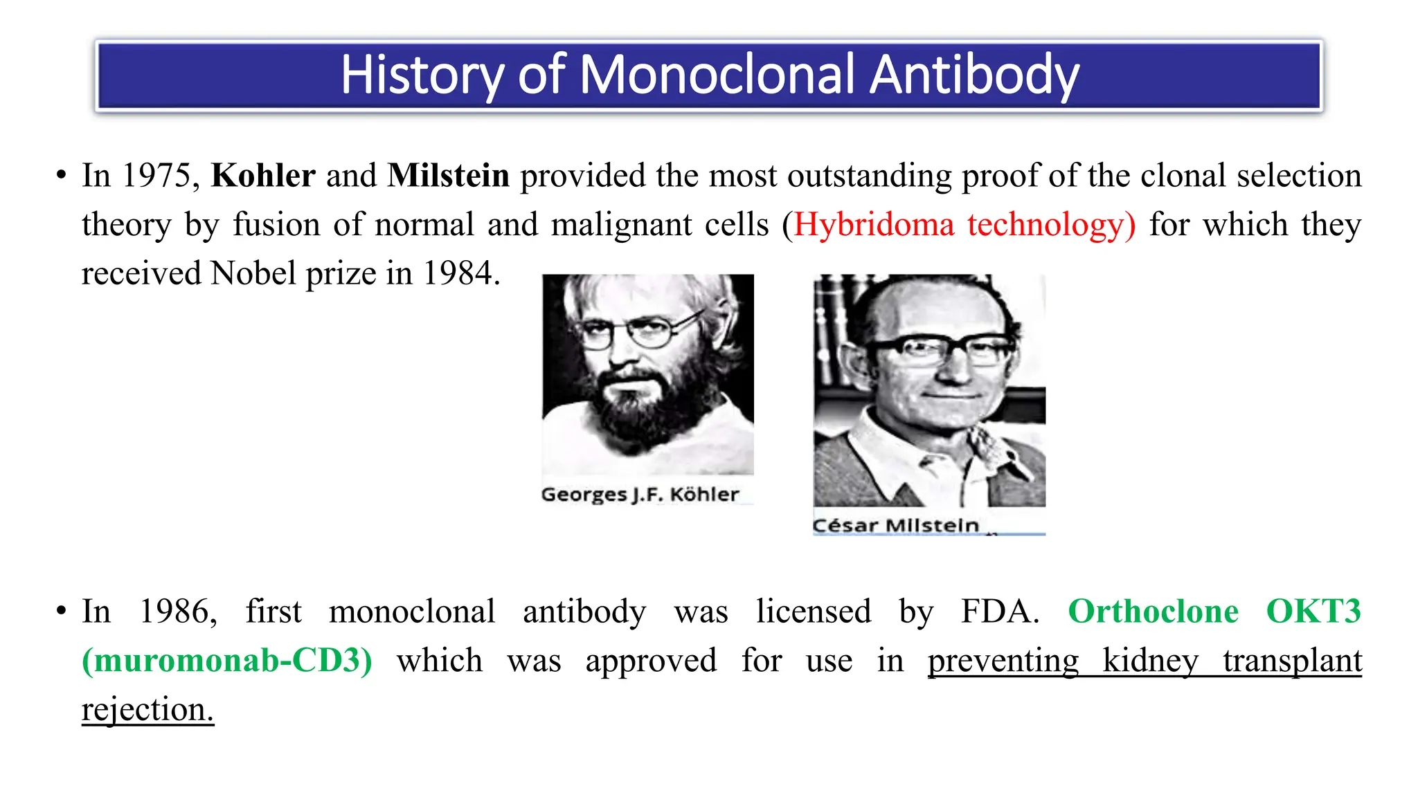 Monoclonal antibody production by hybridoma technology | PPTX
