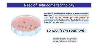 Monoclonal antibody production by hybridoma technology | PPTX