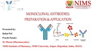 MONOCLONALANTIBODIES:
PREPARATION& APPLICATION
Presented by:
Rahul Pal
Prachi Pandey
M. Pharm (Pharmaceutics)
NIMS Institute of Pharmacy, NIMS University, Jaipur, Rajasthan, India, 303121.
 