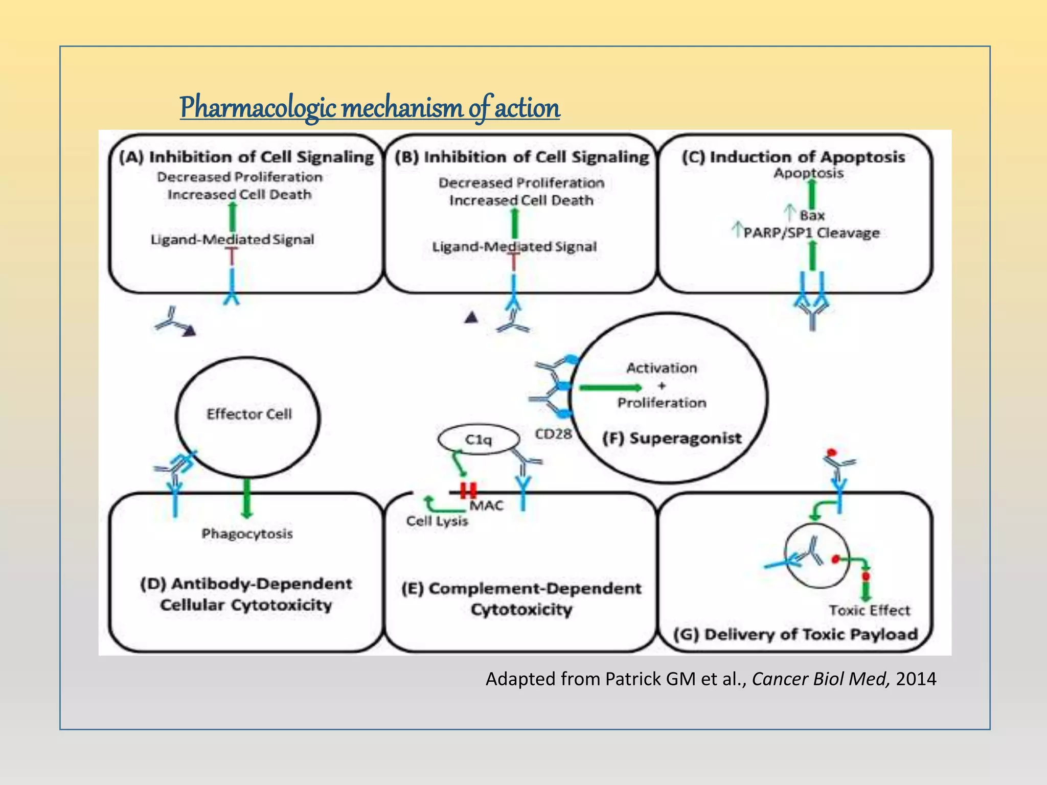Monoclonal antibody in cancer therapy | PPTX