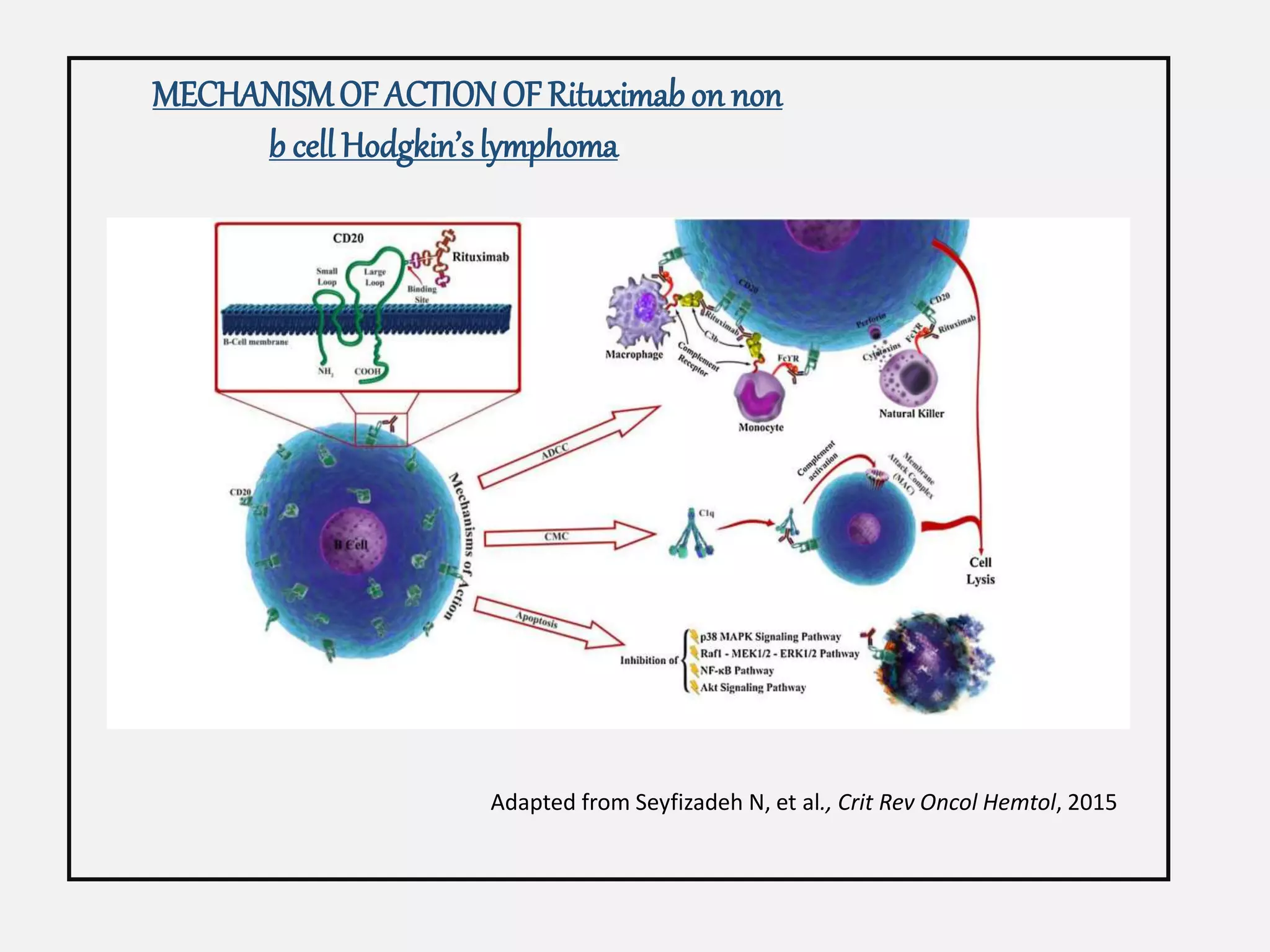 Monoclonal antibody in cancer therapy | PPTX
