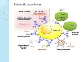 Treatment in cancer therapy
 