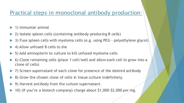 monoclonal antibody production