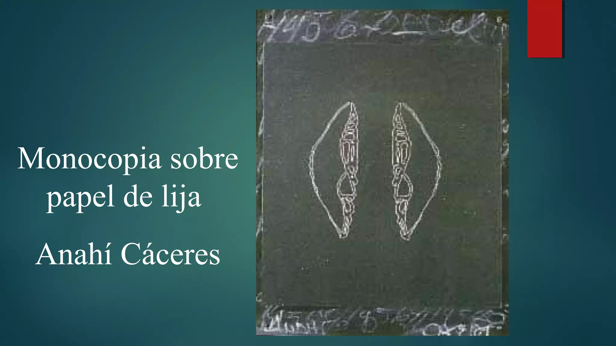 Monocopia sobre
papel de lija
Anahí Cáceres
 