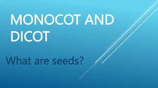 MONOCOT AND
DICOT
What are seeds?
 