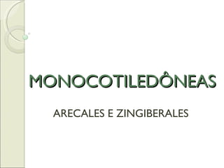 MONOCOTILEDÔNEAS ARECALES E ZINGIBERALES 