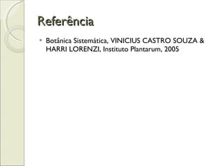 Referência Botânica Sistemática,  VINICIUS CASTRO SOUZA & HARRI LORENZI,  Instituto Plantarum, 2005 