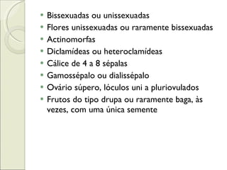 Bissexuadas ou unissexuadas Flores unissexuadas ou raramente bissexuadas Actinomorfas Diclamídeas ou heteroclamídeas Cálice de 4 a 8 sépalas Gamossépalo ou dialissépalo Ovário súpero, lóculos uni a pluriovulados Frutos do tipo drupa ou raramente baga, às vezes, com uma única semente 