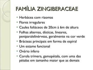 FAMÍLIA ZINGIBERACEAE Herbácea com rizomas Flores irregulares Caules foliáceos de 20cm á 6m de altura Folhas alternas, dísticas, lineares, peniparalelinérveas, geralmente na cor verde Brácteas principais em forma de espiral Um estame funcional Ovário ínfero Corola trímera, gamopétala, com uma das pétalas em tamanho maior que as demais 