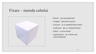 Fixare – metoda cubului
◦ Descrie – cum arata ghiocelul
◦ Compară – ghiocelul și narcisa
◦ Asociază – cu ce seamănă floarea lalelei
◦ Analizează – din ce e alcătuită laleaua
◦ Aplică – ce rol au florile
◦ Argumentează – de ce florile sunt
monocotiledonate
11.05.2023
 