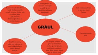 GRÂUL
Este cereala cultivată
în aproape toată
lumea.
În zilele noastre,
grâul este măcinat în
mori, obținându-se
astfel făina și
tărâțele.
La început, boabele de
grâu se consumau
crude, apoi prăjite, iar
mai târziu, măcinate
între două pietre , după
care se făceau turte.
Este originar din
Asia.
Cultura grâului nu
necesită amenajări
speciale și nici
lucrări deosebite de
întreținere.
Grâul este un aliment de
bază, fiind prezent în
mesele noastre zilnice sub
formă de pâine,
griș,produse
făinoase,produse de
patiserie, etc.
 