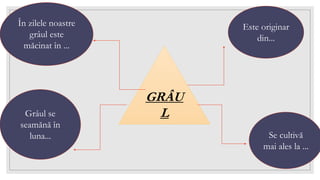 GRÂU
L
Este originar
din...
Se cultivă
mai ales la ...
În zilele noastre
grâul este
măcinat în ...
Grâul se
seamănă în
luna...
 