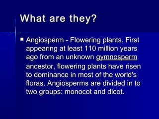 What are they?
   Angiosperm - Flowering plants. First
    appearing at least 110 million years
    ago from an unknown gymnosperm
    ancestor, flowering plants have risen
    to dominance in most of the world's
    floras. Angiosperms are divided in to
    two groups: monocot and dicot.
 