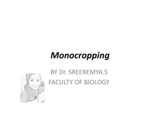 Monocropping
BY Dr. SREEREMYA.S
FACULTY OF BIOLOGY
 