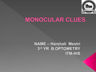 Monocular clues 