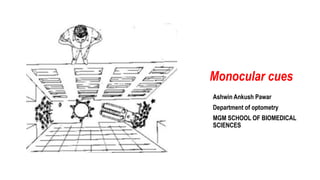 Monocular cues
Ashwin Ankush Pawar
Department of optometry
MGM SCHOOL OF BIOMEDICAL
SCIENCES
 