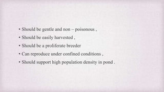 • Should be gentle and non – poisonous , 
• Should be easily harvested , 
• Should be a proliferate breeder 
• Can reproduce under confined conditions , 
• Should support high population density in pond . 
 