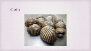 Cockle 
 