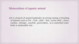 Monoculture of aquatic animal 
ⱷIt is a branch of animal husbandry involving raising or breeding 
of animals such as Fin – Fish , shell – fish , oyster shell , clams , 
cockles , shrimps , crayfish , periwinkles , in a controlled water 
body to marketable size . 
 