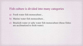 Fish culture is divided into many categories 
a) Fresh water fish monoculture , 
b) Marine water fish monoculture , 
c) Brackish water or salty water fish monoculture (these fishes 
are acclimatized to fresh water) 
 