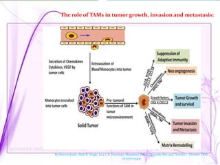 Monocytes macrophages in human cancer | PPTX