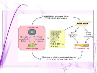 Monocytes macrophages in human cancer | PPTX