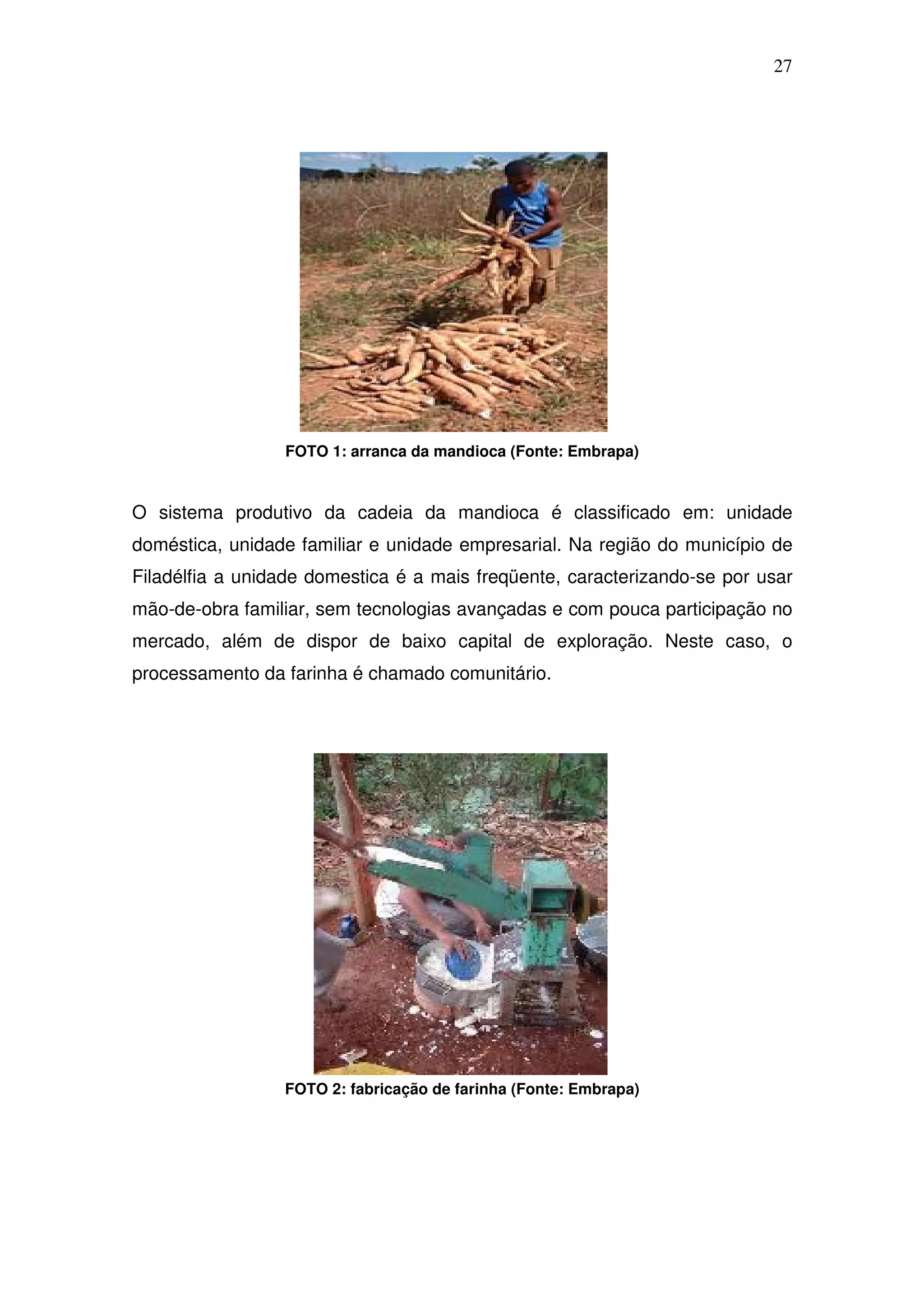 27




                 FOTO 1: arranca da mandioca (Fonte: Embrapa)



O sistema produtivo da cadeia da mandioca é classificado em: unidade
doméstica, unidade familiar e unidade empresarial. Na região do município de
Filadélfia a unidade domestica é a mais freqüente, caracterizando-se por usar
mão-de-obra familiar, sem tecnologias avançadas e com pouca participação no
mercado, além de dispor de baixo capital de exploração. Neste caso, o
processamento da farinha é chamado comunitário.




                 FOTO 2: fabricação de farinha (Fonte: Embrapa)
 