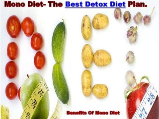 Best Detox Diet
 