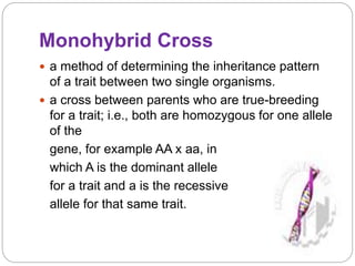 Mono di hybrid cross (p.a.c 2015) | PPTX