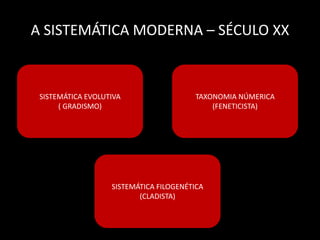 SISTEMÁTICA EVOLUTIVA
( GRADISMO)
TAXONOMIA NÚMERICA
(FENETICISTA)
SISTEMÁTICA FILOGENÉTICA
(CLADISTA)
A SISTEMÁTICA MODERNA – SÉCULO XX
 