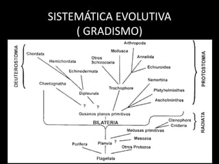 SISTEMÁTICA EVOLUTIVA
( GRADISMO)
 
