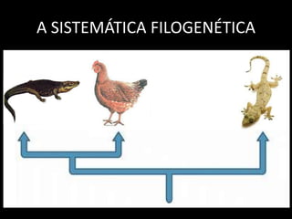 A SISTEMÁTICA FILOGENÉTICA
 