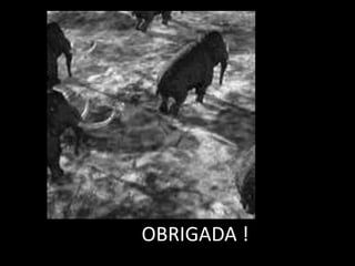 OBRIGADA !
 
