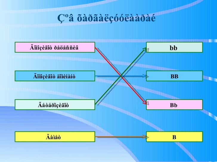 Моногибрид эвцэлдүүлэг