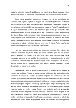 39



mediante fotografia revelando padrões de seu crescimento. Estes dados permitem
mapear todo o ciclo da planta com antecedência e com percentual mínimo de erro.

      Para nossa pesquisa, capturamos imagens de vários exemplares do
Melocactus SP. Após a captura de imagem em área aberta pertencente ao habitat
natural das cactáceas, esta é armazenada no computador. Depois esta imagem é
convertida para o formato Bitmap, carregada no programa Fractal Analysis System.
A seguir, seleciona-se a área a ser trabalhada para evitar que elementos não
necessários entrem em foco (grama, pedras, etc.), prejudicando assim a veracidade
dos dados. Deste modo, dentre as muitas plantas coletadas deixou-se de levar em
conta espécies que estavam fixas ao substrato rochoso. A utilização da planta
nestas condições acusa um erro, detectado pelo software, no cálculo da dimensão
porque este considera o substrato rochoso como parte da planta. Assim escolhemos
propositalmente plantas que não crescem sobre rochas.

       Um outro aspecto que precisou ser observado com rigor foi o número de
cladódios existentes na planta. Todos os cactos utilizados para fins de análise
gráfica possuem no mínimo dois cladódios. Sem essa particularidade seria
impossível observar o seu padrão de crescimento e, automaticamente, a auto
semelhança existente entre eles. Dessa maneira, cactos com apenas um cladódio,
embora muitas vezes apresentassem um melhor ângulo fotográfico, foram
descartados no momento da análise.

      Selecionada a área e atribuído um comando, o software então, recorta a
imagem da cactácea. Todas as outras partes existentes são automaticamente
eliminadas da imagem e o verde é convertido em preto. Por existir ainda brilho na
imagem, pontos pretos são dispostos ao longo de uma superfície branca (local onde
antes existiam as outras cores), desfocando totalmente a imagem. Após tratamento
desta imagem pelo programa Photoshop (aplicativo para edição de imagens), para
retirar o brilho, novamente a imagem é inserida no Fractal Analysis System. Nesse
instante, todos os pontos pretos formam um conjunto uniforme produzindo
novamente a forma da planta. Quando solicitado a trabalhar com a imagem, a cor
branca envolve a imagem em preto. A cor resultante neste momento – cinza, é
então, o extrato a ser calculado. Para finalizar, acionamos o comando do cálculo da
dimensão da escala fractal do programa. Assim, em instantes os dados pedidos
 