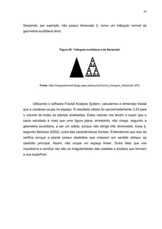 47



Sierpinski, por exemplo, não possui dimensão 2, como um triângulo normal da
geometria euclidiana teria.




                          Figura 20: Triângulo euclidiano e de Sierpinski




           Fonte: http://haaguaemmat.blogs.sapo.pt/arquivo/Forma_triangulo_Sierpinski.JPG




      Utilizando o software Fractal Analysis System, calculamos a dimensão fractal
que a cactácea ocupa no espaço. O resultado obtido foi aproximadamente 2,53 para
o volume de todas as plantas analisadas. Estes valores nos levam a supor que o
cacto estudado é mais que uma figura plana, entretanto, não chega, segundo a
geometria euclidiana, a ser um sólido, porque não atinge três dimensões. Essa é,
segundo Barbosa (2002), outra das características fractais. Entendemos que isso se
verifica porque a planta possui cladódios que crescem em sentido oblíquo ao
cladódio principal. Assim, não ocupa um espaço linear. Outro fator que nos
impulsiona a concluir isto são as irregularidades das costelas e acúleos que formam
a sua superfície.
 