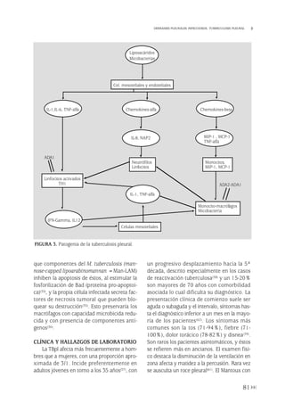 que componentes del M. tuberculosis (man-
nose-capped lipoarabinomannan =Man-LAM)
inhiben la apoptosis de éstos, al estimular la
fosforilización de Bad (proteína pro-apoptoi-
ca)(35), y la propia célula infectada secreta fac-
tores de necrosis tumoral que pueden blo-
quear su destrucción(35). Esto preservaría los
macrófagos con capacidad microbicida redu-
cida y con presencia de componentes antí-
genos(36).
CLÍNICA Y HALLAZGOS DE LABORATORIO
La TBpl afecta más frecuentemente a hom-
bres que a mujeres, con una proporción apro-
ximada de 3/1. Incide preferentemente en
adultos jóvenes en torno a los 35 años(37), con
un progresivo desplazamiento hacia la 5ª
década, descrito especialmente en los casos
de reactivación tuberculosa(38) y un 15-20%
son mayores de 70 años con comorbilidad
asociada lo cual dificulta su diagnóstico. La
presentación clínica de comienzo suele ser
aguda o subaguda y el intervalo, síntomas has-
ta el diagnóstico inferior a un mes en la mayo-
ría de los pacientes(62). Los síntomas más
comunes son la tos (71-94%), fiebre (71-
100%), dolor torácico (78-82%) y disnea(39).
Son raros los pacientes asintomáticos, y éstos
se refieren más en ancianos. El examen físi-
co destaca la disminución de la ventilación en
zona afecta y matidez a la percusión. Rara vez
se ausculta un roce pleural(61). El Mantoux con
81
DERRAMES PLEURALES INFECCIOSOS. TUBERCULOSIS PLEURAL
FIGURA 3. Patogenia de la tuberculosis pleural.
Cel. mesoteliales y endoteliales
Celulas mesoteliales
ADA1
Neutrófilos
Linfocitos
Monocitos,
MIP-1, MCP-1
Monocito-macrófagos
Micobacteria
Linfocitos activados
TH1 ADA2-ADA1
Liposacáridos
Micobacterias
MIP-1 , MCP-1
TNF-alfa
Chemokines-betaChemokines-alfa
IL-8, NAP2
IL-1,IL-6, TNF-alfa
IFN-Gamma, IL12
IL-1, TNF-alfa
Pleura 224p 9/7/13 10:23 Página 81
 