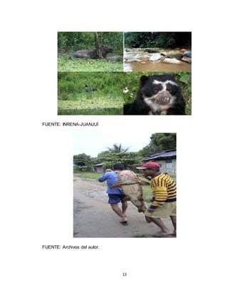 13
FUENTE: INRENA-JUANJUÌ
FUENTE: Archivos del autor.
 