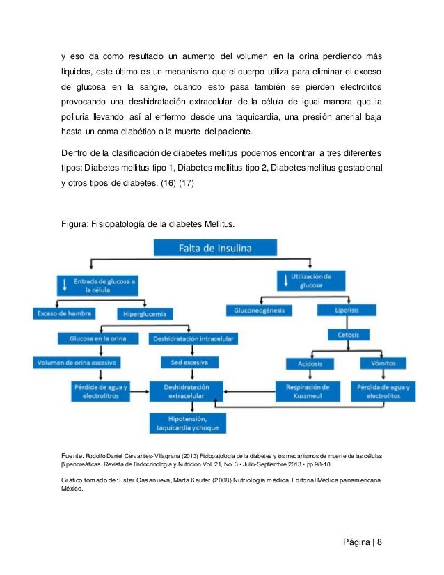 Monografía Diabetes Mellitus tipo 2 Monografía Diabetes Mellitus tipo 2