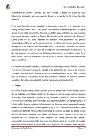 Universidad de Cuenca
María Augusta Naula Chaca Página 17
oficialmente el termino Camellia. En este sentido, y desde un punto de vista
totalmente aceptado, solo corresponde llamar a la planta de té como Camellia
Sinensis.
El termino Camellia es en realidad, un homenaje promovido por Linnaeus hacia
Georg Joseph Kamel (1661-1706), quien fue botanista y misionero jesuita. De origen
checo, fue enviado a misionar a Filipinas, en 1688, hasta el final de su vida. Escribió
un manual llamado: “Hierbas y Plantas Medicinales de la Isla de Luzón, Filipinas”.
Como parte de su obra, además de estudiar exhaustivamente las plantas
medicinales en Oriente, abrió una farmacia, con el objetivo de brindar medicamentos
herbolarios a los más pobres. Al parecer, esta obra de bien, sumado a su espíritu
pionero, le hicieron valer un lugar de privilegio en la nomenclatura moderna del Té.
No hay registros que indiquen que él hubiera descripto o nombrado la planta de té
en sí misma. Pero fue el primero, que reconoce la historia, en estudiar botánica en
Asia, con nativos.
En relación al nombre científico, conocemos de donde proviene el término Camellia
y el termino sinensis. La letra L, situada entre paréntesis se refiere a la inicial de
Linnaeus, mientras que O. Kuntze, es el nombre del botanista que en 1881, combinó
toda la evidencia encontrada hasta ese momento, creando el nombre científico
completo: Camellia sinensis (L) O. Kuntze. (Venerucci y Morlachetti, 6)
1.1 Origen
En cuanto al origen chino de la Camellia Sinensis existe una serie de relatos acerca
de su hallazgo, pero todos recaen en la figura de un personaje central, llamado
Shennong. Una leyenda originada en la provincia occidental china de Yunnan,
sostiene que Shennong era un Príncipe que estaba realizando un peregrinaje por el
interior del territorio y producto del cansancio, se detuvo a tomar un pequeño paraje,
en el cual aprovecho para beber un poco de agua tibia. Mientras esperaba se quedo
súbitamente dormido. Al despertarse comenzó a beber de su tazón sin darse cuenta
de que el mismo contenía unas hojas que habían caído desde el árbol que lo
cobijaba del sol. Luego de unos instantes de haber probado esa extraña
preparación, quedósorprendido acerca de los efectos sobre si: se sintió refrescado,
renovado anímicamente y estimulado para continuar. Al observar esas extrañas
 