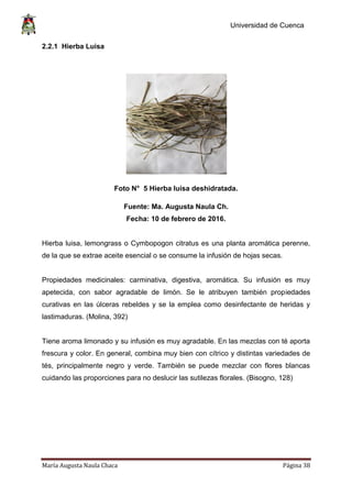 Universidad de Cuenca
María Augusta Naula Chaca Página 38
2.2.1 Hierba Luisa
Foto N° 5 Hierba luisa deshidratada.
Fuente: Ma. Augusta Naula Ch.
Fecha: 10 de febrero de 2016.
Hierba luisa, lemongrass o Cymbopogon citratus es una planta aromática perenne,
de la que se extrae aceite esencial o se consume la infusión de hojas secas.
Propiedades medicinales: carminativa, digestiva, aromática. Su infusión es muy
apetecida, con sabor agradable de limón. Se le atribuyen también propiedades
curativas en las úlceras rebeldes y se la emplea como desinfectante de heridas y
lastimaduras. (Molina, 392)
Tiene aroma limonado y su infusión es muy agradable. En las mezclas con té aporta
frescura y color. En general, combina muy bien con cítrico y distintas variedades de
tés, principalmente negro y verde. También se puede mezclar con flores blancas
cuidando las proporciones para no deslucir las sutilezas florales. (Bisogno, 128)
 