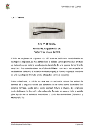 Universidad de Cuenca
María Augusta Naula Chaca Página 69
2.4.11 Vainilla
Foto N° 35 Vainilla.
Fuente: Ma. Augusta Naula Ch.
Fecha: 10 de febrero de 2016.
Vainilla es un género de orquídeas con 110 especies distribuidas mundialmente en
las regiones tropicales. La más conocida es la especie Vanilla planifolia que produce
un fruto del que se obtiene un saborizante, la vainilla. Es una especia del continente
americano. Los conquistadores españoles de México, conocieron esta especia en
las costas de Veracruz, le pusieron ese nombre porque su fruto se parece a la vaina
de una espada pero diminuta, similar a las judías verdes o chauchas.
Como saborizante, la vainilla es una esencia elaborada usando las vainas de
semillas de la orquídea vanilla. Los beneficios de la vainilla como estimulante del
sistema nervioso, usada como aceite esencial, tintura o infusión. Se empleaba
contra la histeria, la depresión o la melancolía. También se recomendaba la vainilla
para ayudar en los esfuerzos musculares, o contra los reumatismos.(Venerucci y
Morlachetti, 32)
 