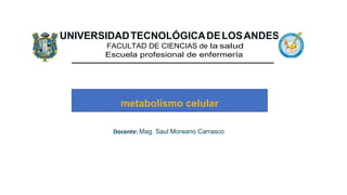 metabolismo celular
UNIVERSIDADTECNOLÓGICADELOSANDES
FACULTAD DE CIENCIAS de la salud
Escuela profesional de enfermería
Docente: Mag. Saul Moreano Carrasco
 