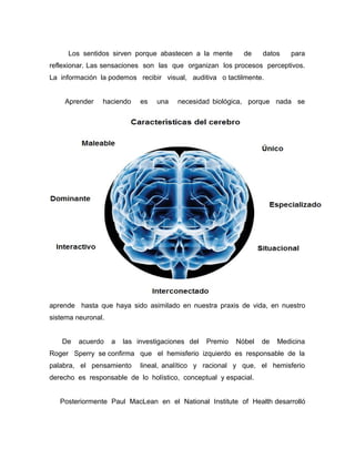 Los sentidos sirven porque abastecen a la mente         de    datos    para
reflexionar. Las sensaciones son las que organizan los procesos perceptivos.
La información la podemos recibir visual, auditiva o tactilmente.


    Aprender    haciendo     es   una   necesidad biológica, porque nada se




aprende hasta que haya sido asimilado en nuestra praxis de vida, en nuestro
sistema neuronal.


   De    acuerdo    a   las investigaciones del   Premio   Nóbel   de   Medicina
Roger Sperry se confirma que el hemisferio izquierdo es responsable de la
palabra, el pensamiento      lineal, analítico y racional y que, el hemisferio
derecho es responsable de lo holístico, conceptual y espacial.


   Posteriormente Paul MacLean en el National Institute of Health desarrolló
 